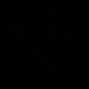 Meet your Posher, Victor